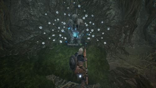 Lords of the Fallen (ver